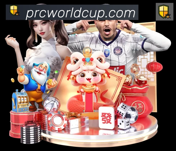 体育数据展示